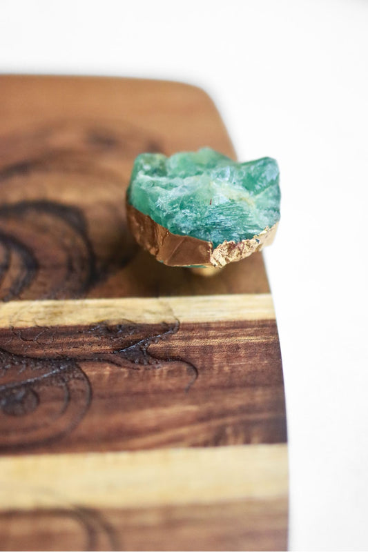 Medusa Tray