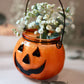 Autumn Garden