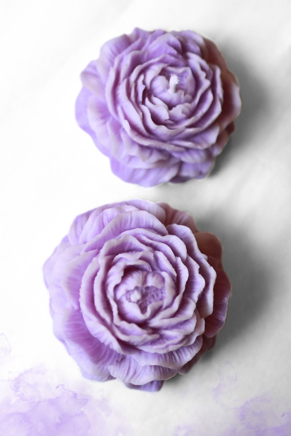 Peony