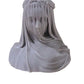 The Veiled Maiden