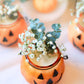 Autumn Garden