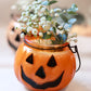 Autumn Garden