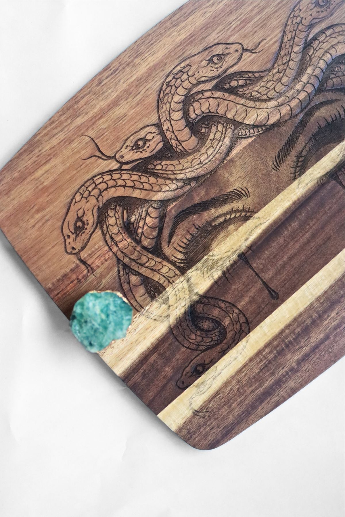 Medusa Tray